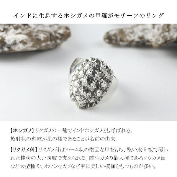 Cold I's ホシガメ 甲羅 リング 7〜27号 シルバー925 指輪 シルバー