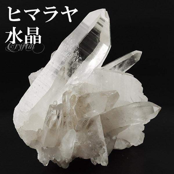 菊花水晶クラスター 1,286g 【公式通販】