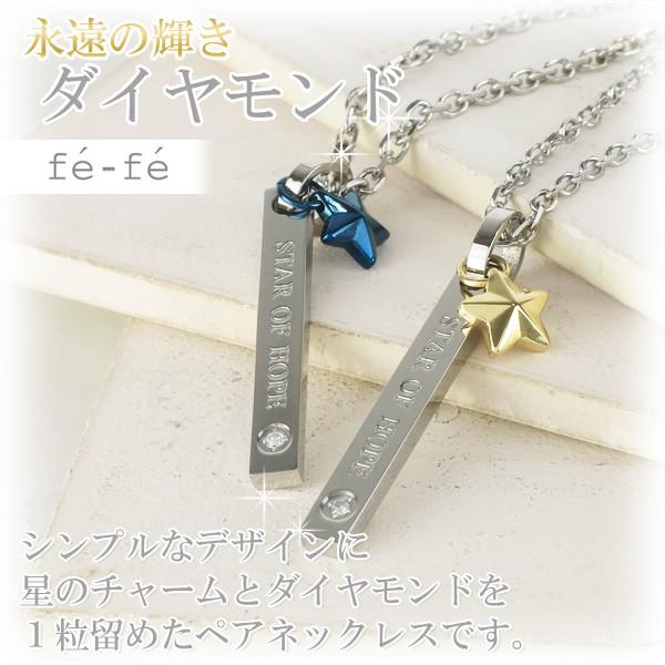 ペアネックレス ステンレス ブランド ダイヤモンド スターチャーム サージカルステンレス fe-fe ペアルック お揃い ペンダント プレゼント 爆買