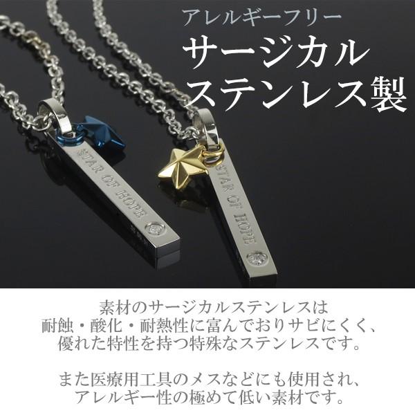 ペアネックレス ステンレス ブランド ダイヤモンド スターチャーム サージカルステンレス fe-fe ペアルック お揃い ペンダント プレゼント 爆買