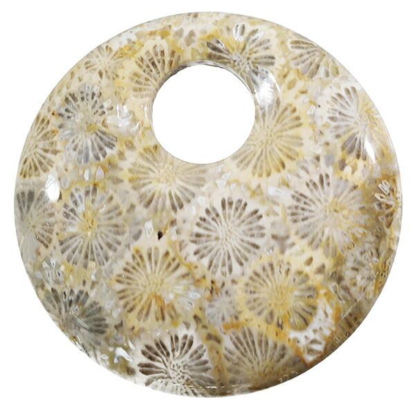 フォシルコーラル 磨き 21.3g フォッシルコーラル コーラル 珊瑚