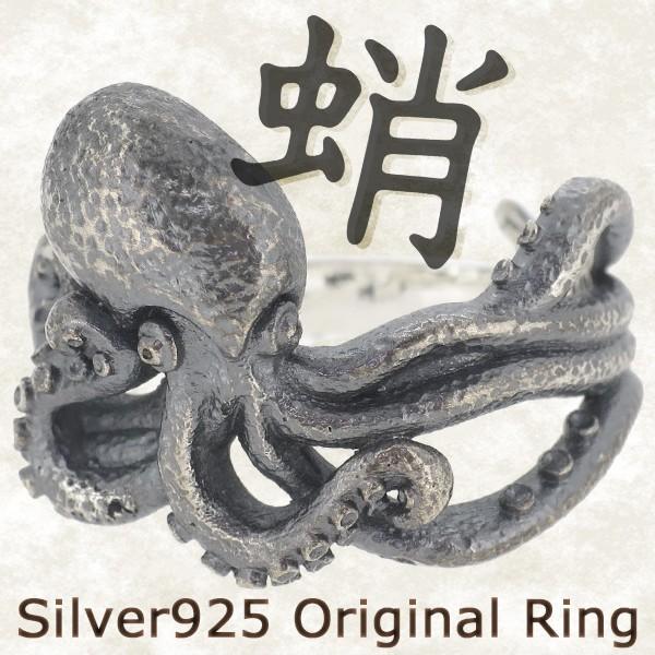 アガベ：パープソラム（裏棘）2.5号鉢植え の通販 | 園芸ネット