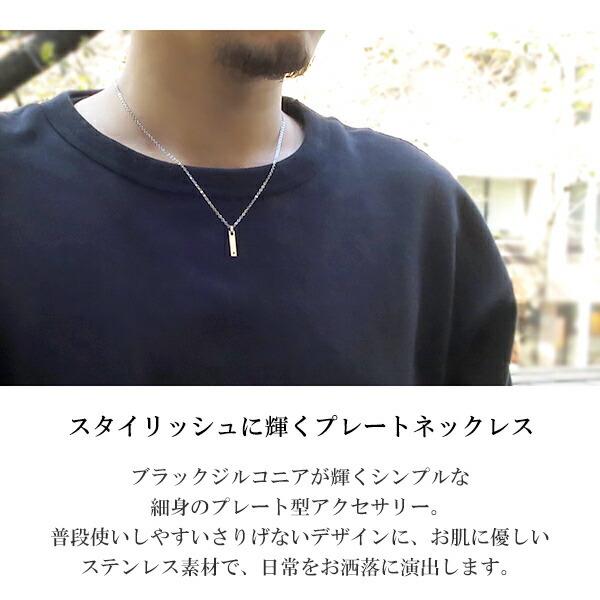 ザニポロタルツィーニ サージカルステンレス プレート ネックレス ジルコニア シンプル メンズネックレス ステンレスネックレス アクセ プレゼント 爆買の画像