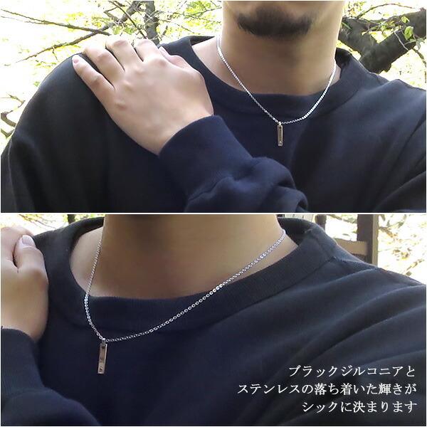 ザニポロタルツィーニ サージカルステンレス プレート ネックレス ジルコニア シンプル メンズネックレス ステンレスネックレス アクセ プレゼント 爆買の画像