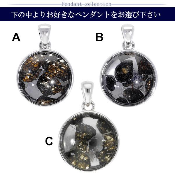パラサイト 隕石 メテオライト シルバー ペンダントトップ 数量限定