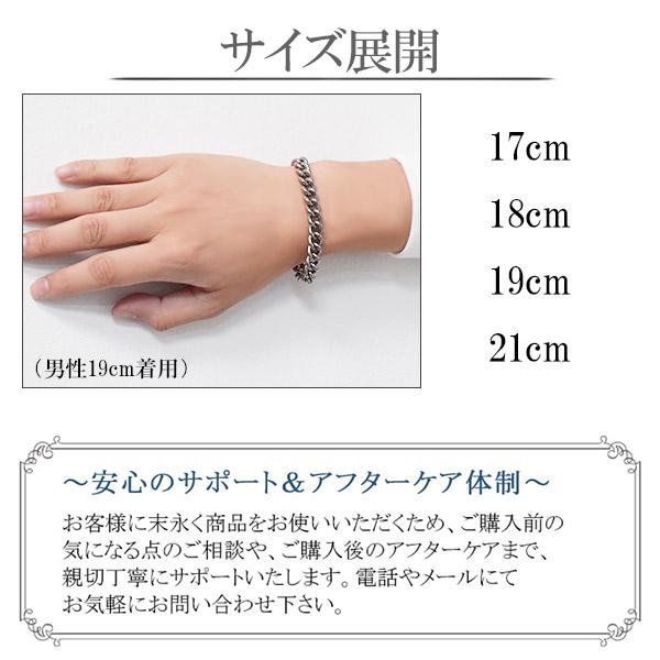Phiten ファイテン チタンブレスレット メンズ 限定 喜平