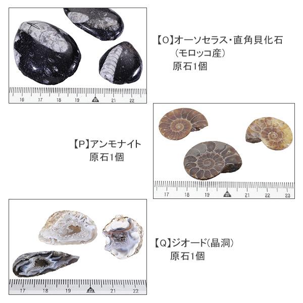 原石 選べる 3個 セット 天然石 パワーストーン 鉱物 鉱石 標本 化石 置物 エメラルド アンバー フローライト アンモナイト 水晶