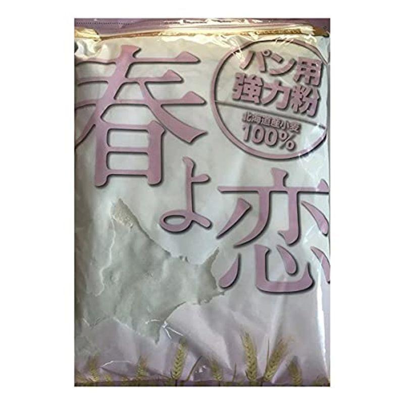 限定品 春よ恋 100% パン用強力粉 1kg wieden-braeu.at