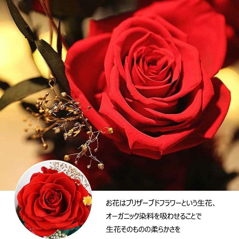 売上最安値 可愛い プリザーブドフラワー バラ レッドローズ 薔薇 花 ガラスドーム LEDライト付き 木製ベース ブリザードフラワー ロマンティック