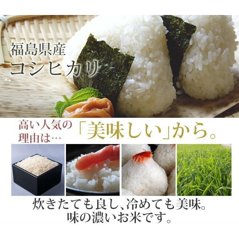 コシヒカリ 令和5年産 送料無料 無洗米 セール価格14,080円 お米