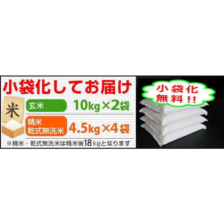 令和5年産 青森県産 まっしぐら 20Kg 送料無料 無洗米 特売価格 令和5年産 青森県産 まっしぐら 20Kg 送料無料 無洗米 特売価格