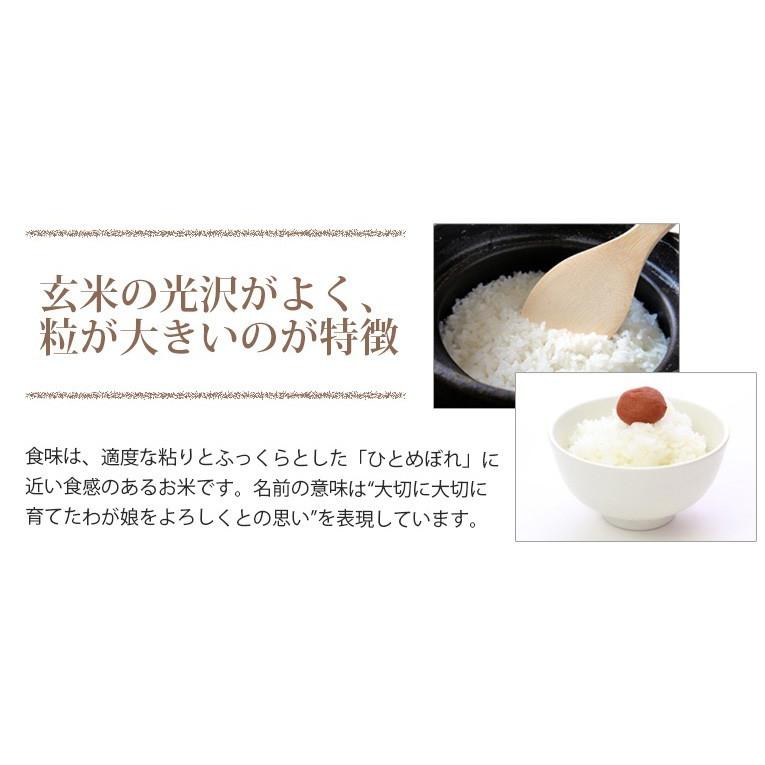 米 30kg お米 玄米 宮城産まなむすめ 送料無料 令和2年産 1等米 選べる精米方法 R1 Manamusume30 鈴木米穀ヤフー店 通販 Yahoo ショッピング