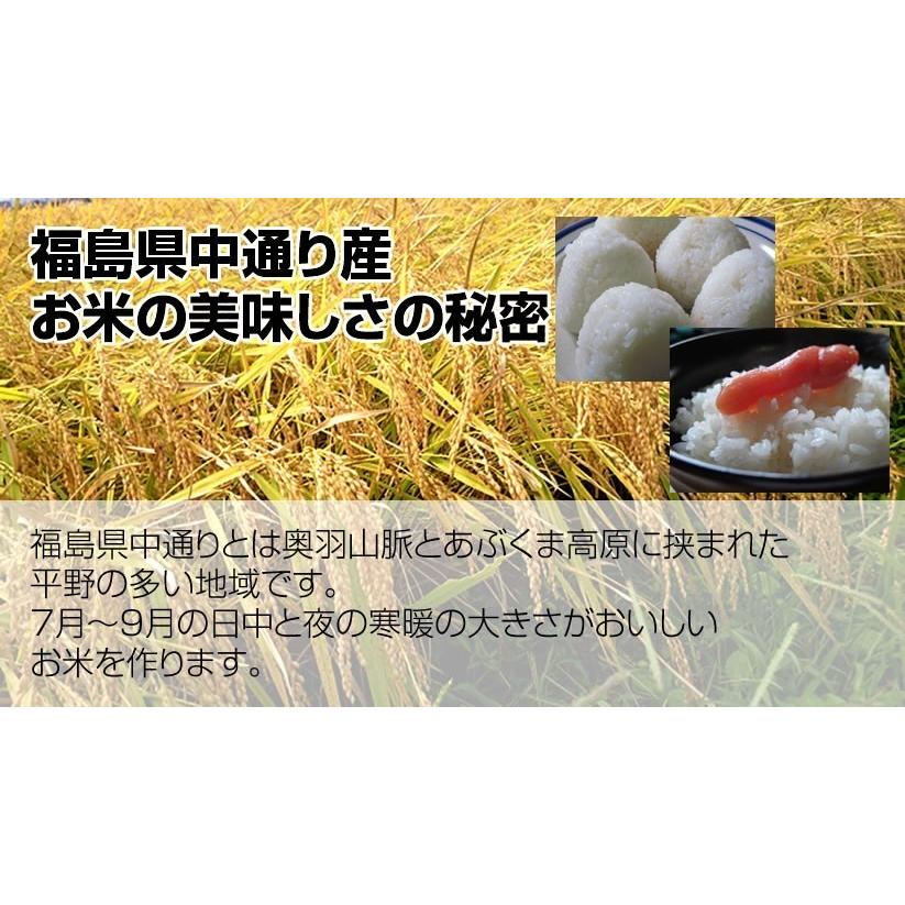 令和5年産 送料無料 無洗米 特売価格4,780円 お米 米 10kg 選べる精米方法 福島中通り産あきたこまち｜ginshari｜03