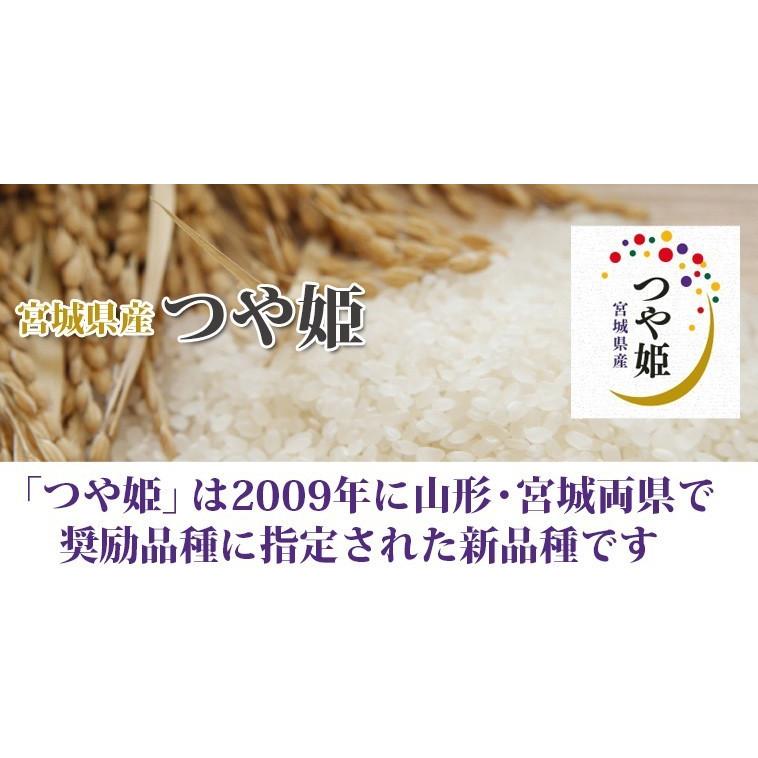 つや姫 令和6年産 送料無料 無洗米 セール価格23,780円 お米 米 30kg