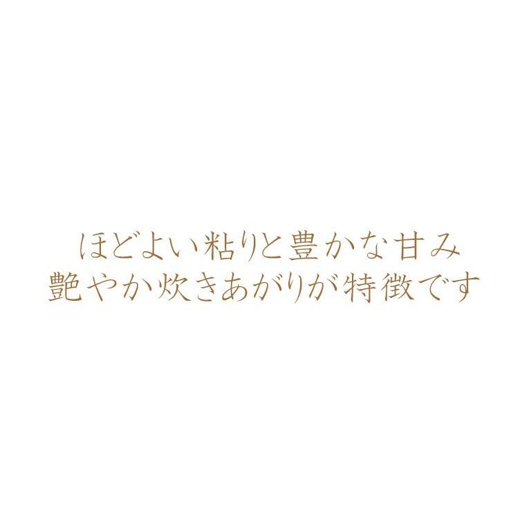 新作入荷 新品 お米 米 30kg 北海道産 ゆめぴりか 送料無料 令和3年産 1等米 選べる精米方法 Wantannas Go Id