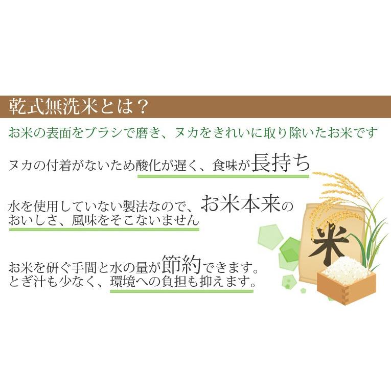 令和3年産 政府備蓄米 送料無料 無洗米 【ご奉仕価格7,990円】 20kg
