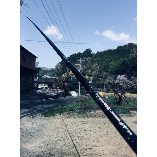 送料無料】国産の新品超高弾性鮎竿 蒼龍メダリスト早瀬 抜 810 送料無料】国産の新品超高弾性鮎竿 蒼龍メダリスト早瀬 抜 810