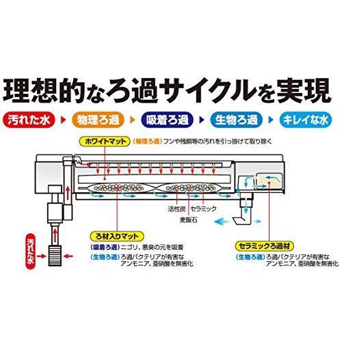 ジェックス デュアルクリーン600 Dc 600 水槽用 上部式フィルター 60cm水槽用 Yz D330b 銀水晶 通販 Yahoo ショッピング