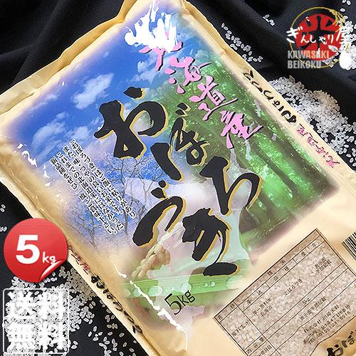 米 5kg お米 おぼろづき 北海道産 白米 令和6年産 送料無料 : ぎんしゃ