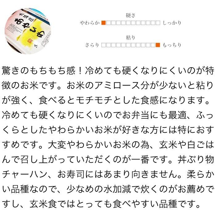 あやひめ 米 5kg お米 北海道産 白米 令和7年産 送料無料 : ぎんしゃり