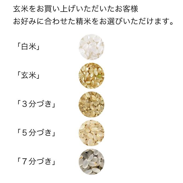 米 30kg 5kg×6袋セット お米 玄米 ななつぼし 北海道産 玄米 白米 分づき米 令和5年産 送料無料｜ginsyariya｜06