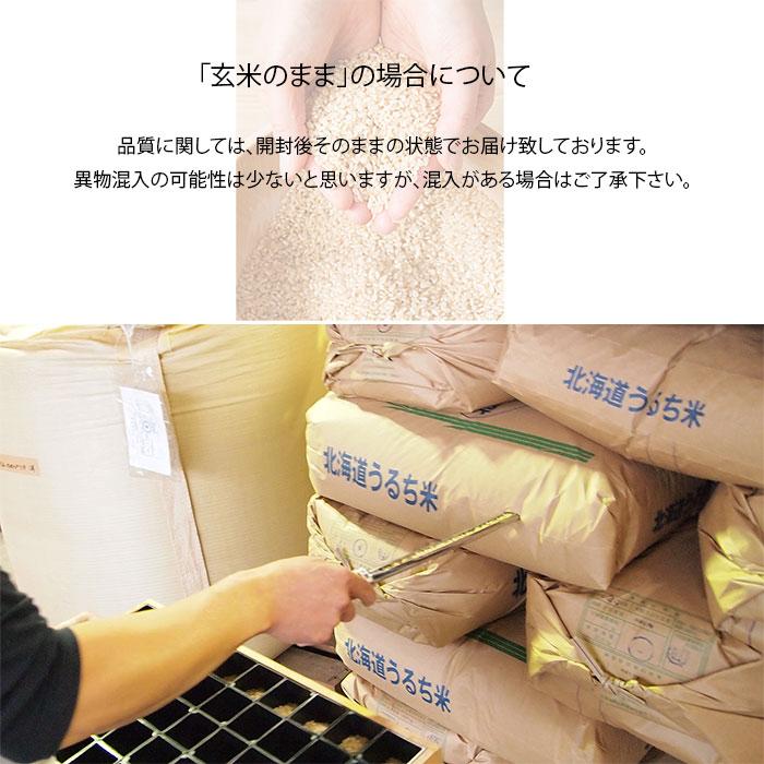 米 30kg 5kg×6袋セット お米 玄米 ななつぼし 北海道産 玄米 白米 分づき米 令和5年産 送料無料｜ginsyariya｜07