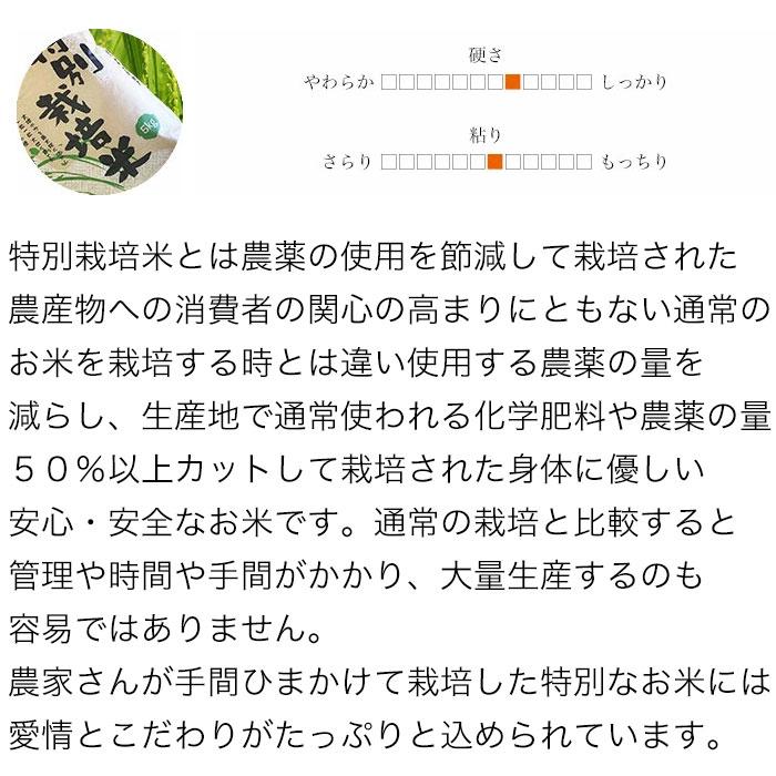 ななつぼし 米 10kg 5kg×2袋セット お米 玄米 北海道産 特別栽培米