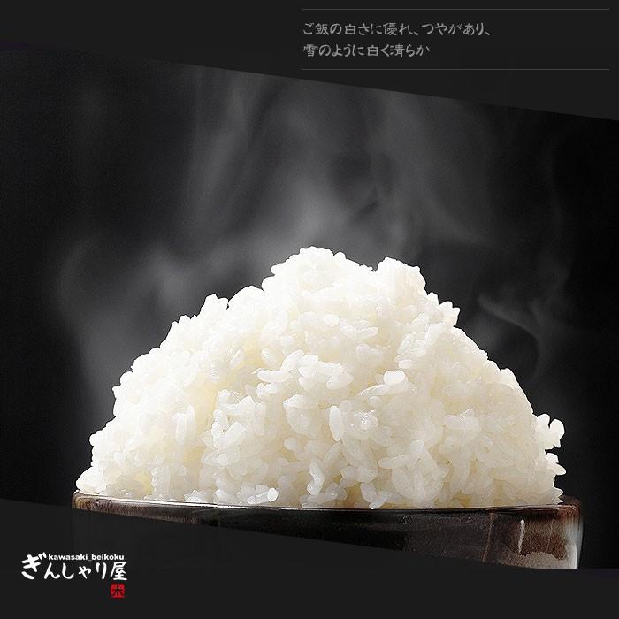 米 30kg 5kg×6袋セット お米 玄米 ゆきさやか 北海道産 白米 分 米 30kg 5kg×6袋セット お米 玄米 ゆきさやか 北海道産 白米 分