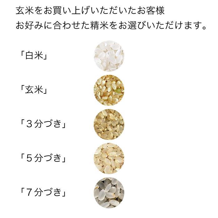 米 30kg 5kg×6袋セット お米 玄米 ゆきさやか 北海道産 白米 分 米 30kg 5kg×6袋セット お米 玄米 ゆきさやか 北海道産 白米 分