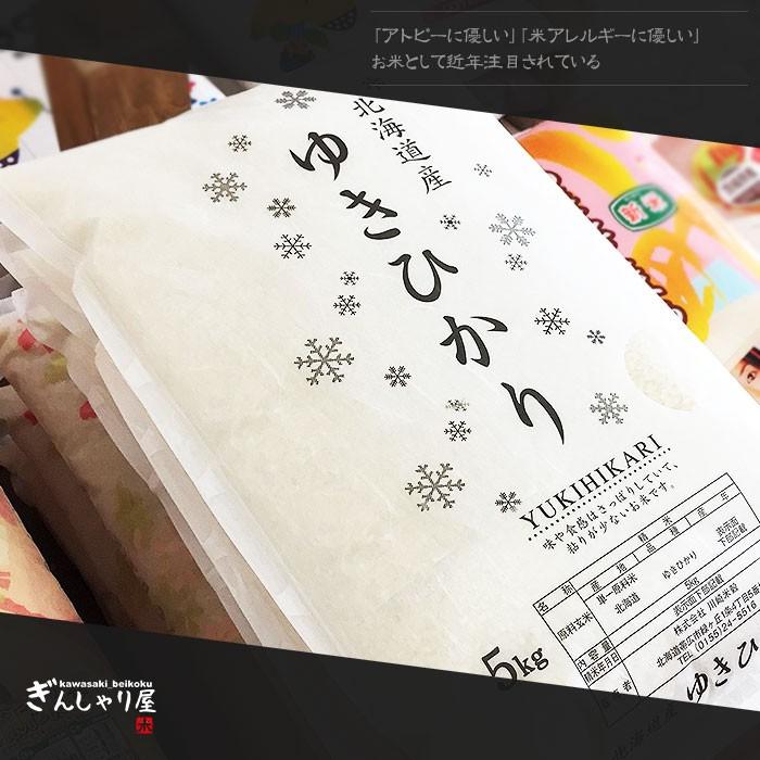 米 5kg お米 ゆきひかり 北海道産 白米 令和5年産 送料無料｜ginsyariya｜02