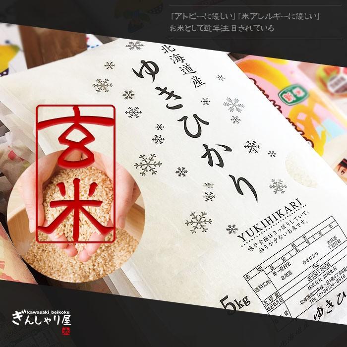 ゆきひかり 米 10kg 5kg×2袋セット お米 玄米 北海道産 玄米 白米 分 