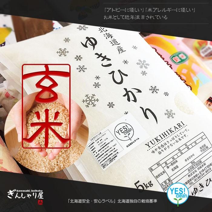 ゆきひかり 米 30kg 5kg×6袋セット お米 玄米 北海道産 玄米 白米 分
