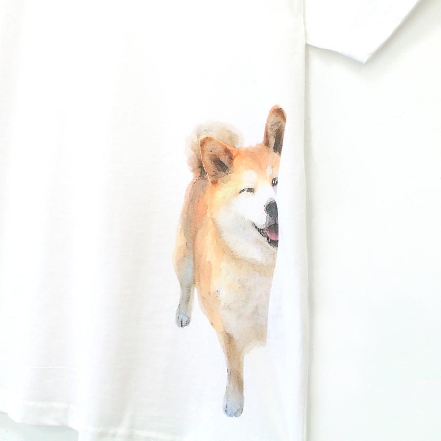 Tシャツ Peek A Boo 犬雑貨 犬グッズ 柴犬 216 犬雑貨専門店 銀屋 通販 Yahoo ショッピング
