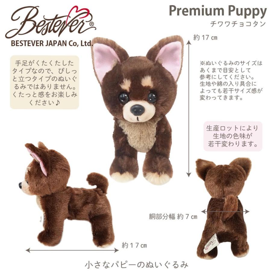 プレミアムパピー☆チワワ チョコタン☆犬雑貨 犬グッズ : 犬
