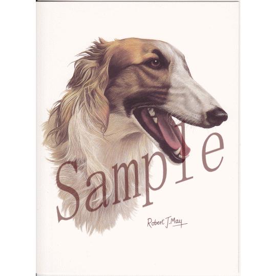 グリーティングカード ボルゾイ 輸入雑貨 犬雑貨 犬グッズ Conv Cards12 犬雑貨専門店 銀屋 通販 Yahoo ショッピング