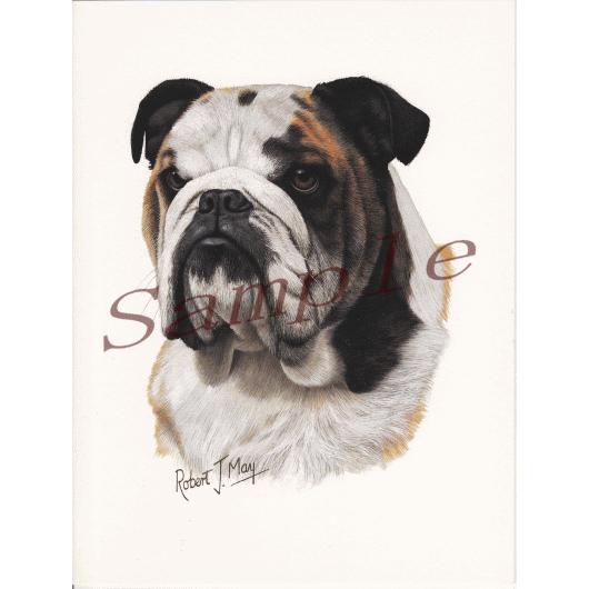 グリーティングカード ブルドッグ 輸入雑貨 犬雑貨 犬グッズ Conv Cards18 犬雑貨専門店 銀屋 通販 Yahoo ショッピング