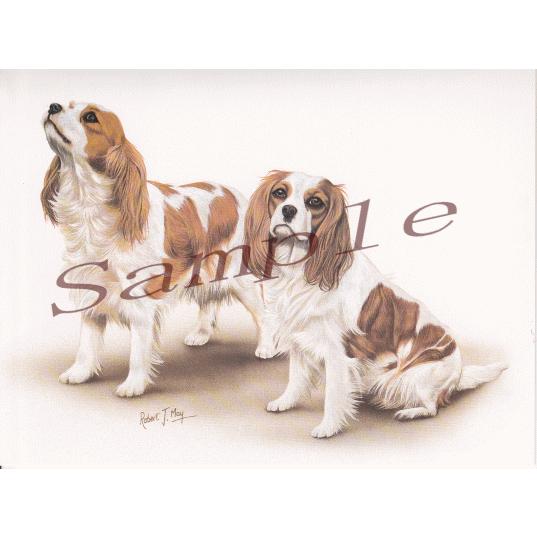 グリーティングカード キャバリア 輸入雑貨 犬雑貨 犬グッズ Conv Cards 犬雑貨専門店 銀屋 通販 Yahoo ショッピング