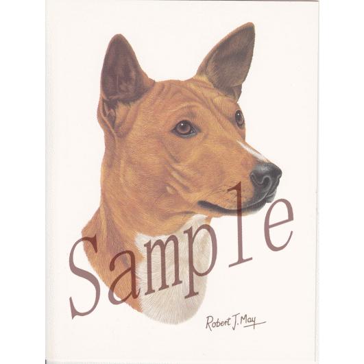 グリーティングカード バセンジー 在庫限り 輸入雑貨 犬雑貨 犬グッズ Conv Cards4 犬雑貨専門店 銀屋 通販 Yahoo ショッピング