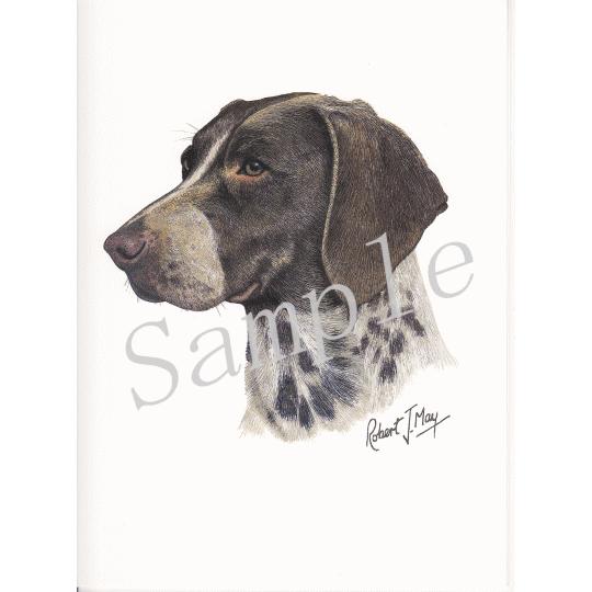 グリーティングカード ポインター 輸入雑貨 犬雑貨 犬グッズ Conv Cards67 犬雑貨専門店 銀屋 通販 Yahoo ショッピング