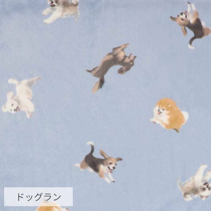 ポメラニアン、柴犬、チワワ、シーズブランケットパネル生地　ハンドメイド ボア付きブランケットM スコティッシュ/チャトラ/サバ/ハチワレ