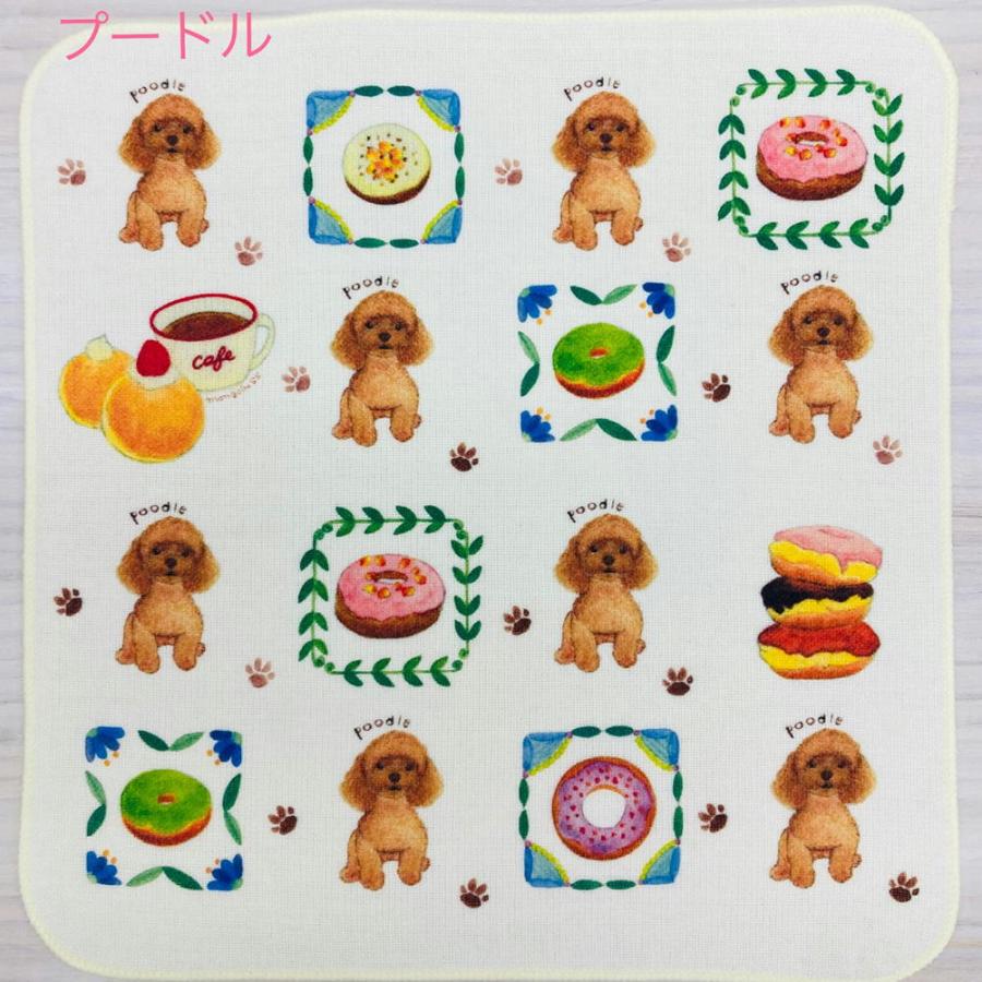 チワワポメプードルマルチーズ柴犬シーズー