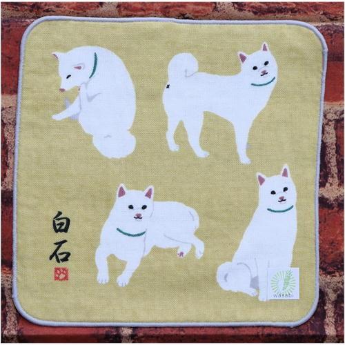 休日 ガーゼタオル しらいしびより 犬雑貨 犬グッズ 柴犬 白柴 驚きの