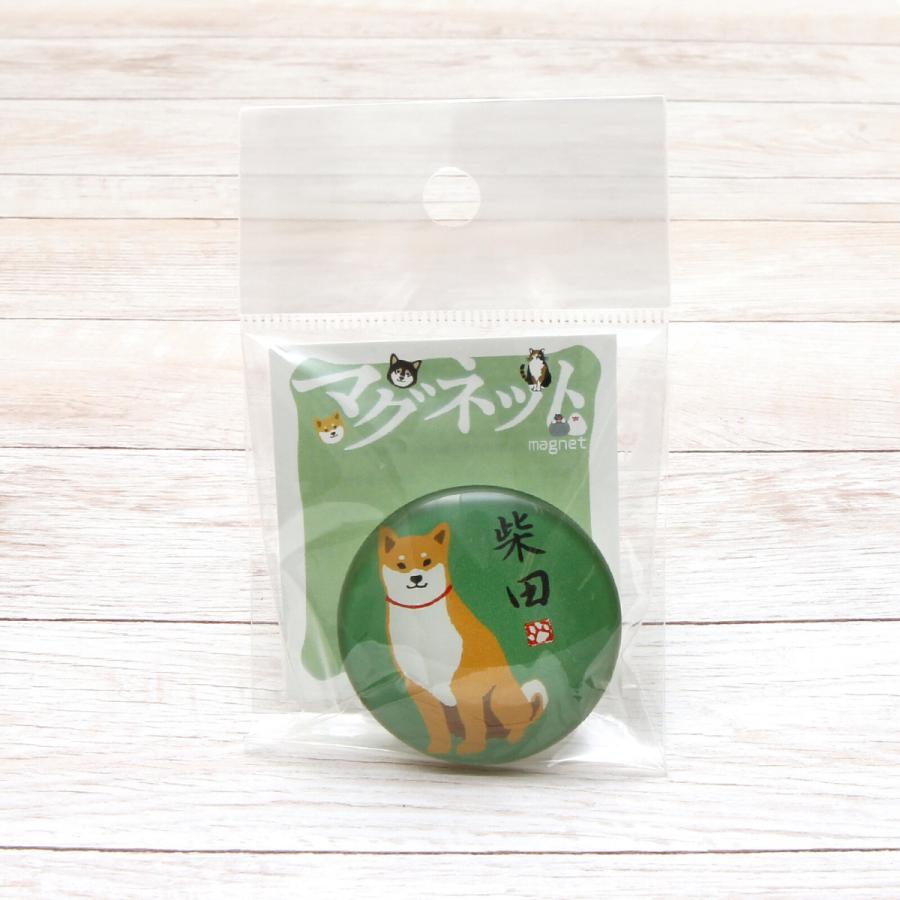 在庫限り 柴田さん ガラスマグネット 犬雑貨・犬グッズ・柴犬
