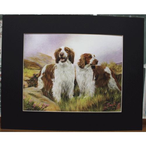 マットプリント スプリンガースパニエル 輸入雑貨 犬雑貨 犬グッズ Mattedprint23 犬雑貨専門店 銀屋 通販 Yahoo ショッピング