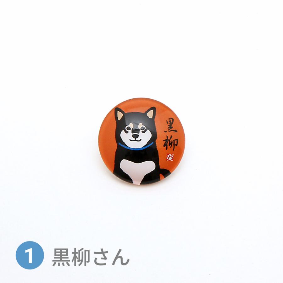 在庫限り 黒柳さん ガラスピンズ 犬雑貨・犬グッズ・柴犬・黒柴 : 犬