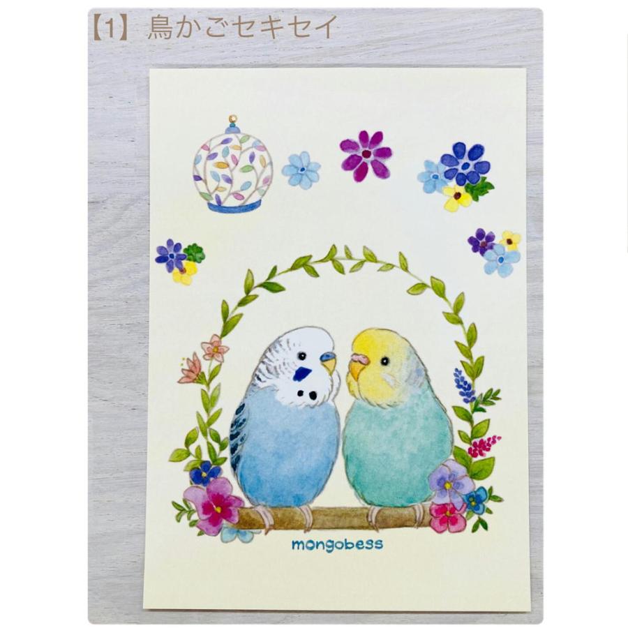 ことりさま専用 ご依頼品制作ページ ポストカード☆ことりシリーズ 鳥雑 貨・ことりグッズ☆セ