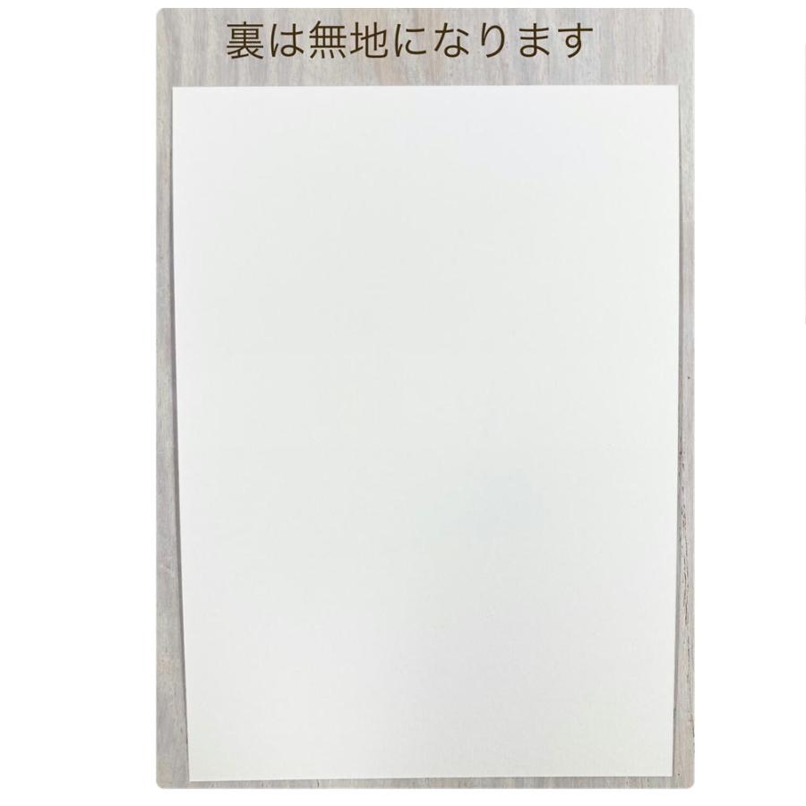 ポストカード☆ことりシリーズ　鳥雑 貨・ことりグッズ☆セ キセイイ ンコ★オカメインコ★ コザクラ ★アキクサ★マメルリハ★シマエ ナガ★ボタンインコ☆ |  | 09