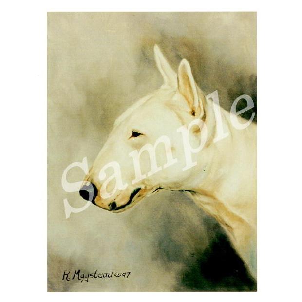 グリーティングカード Ruth ブル テリア ホワイト 輸入雑貨 犬雑貨 犬グッズ Ruth Blt 2 犬雑貨専門店 銀屋 通販 Yahoo ショッピング