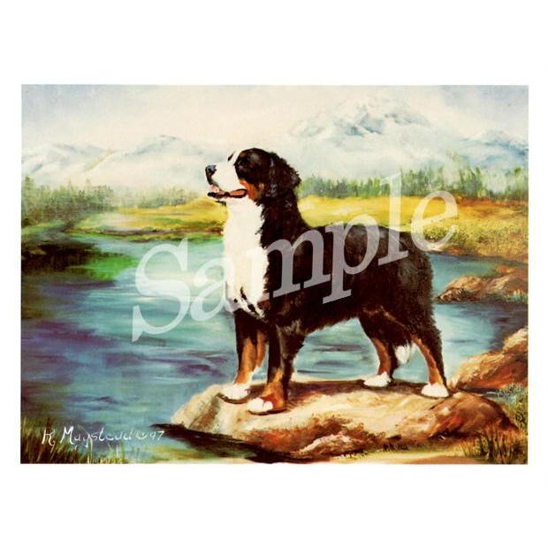 グリーティングカード Ruth バーニーズ マウンテン ドッグ 輸入雑貨 犬雑貨 犬グッズ Ruth Bmd 2 犬雑貨専門店 銀屋 通販 Yahoo ショッピング