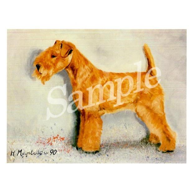 グリーティングカード Ruth レークランド テリア 輸入雑貨 犬雑貨 犬グッズ Ruth Lkt 1 犬雑貨専門店 銀屋 通販 Yahoo ショッピング